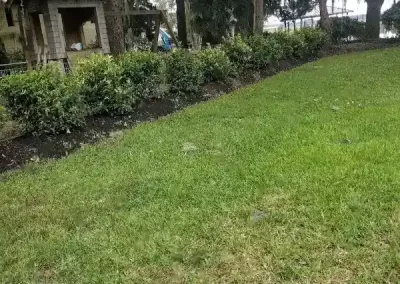 Affordable Hardscape Contractor