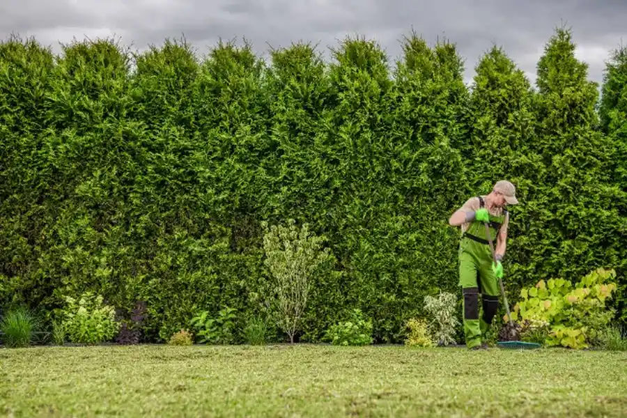 Affordable Lawn Maintenance Brunswick, GA Affordable Lawn Maintenance Brunswick, GA