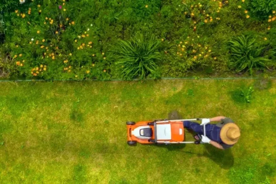 Experienced Lawn Maintenance Brunswick, GA Experienced Lawn Maintenance Brunswick, GA