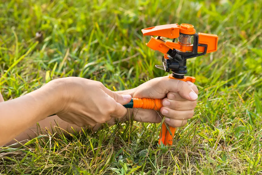 How Irrigation System Installation Saves Time And Water in Brunswick, GA How Irrigation System Installation Saves Time And Water in Brunswick, GA