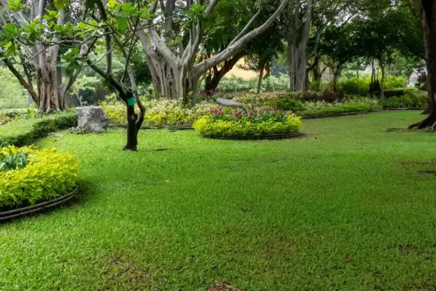 How Lawn Maintenance Enhances Curb Appeal For Homes in Brunswick, GA How Lawn Maintenance Enhances Curb Appeal For Homes in Brunswick, GA