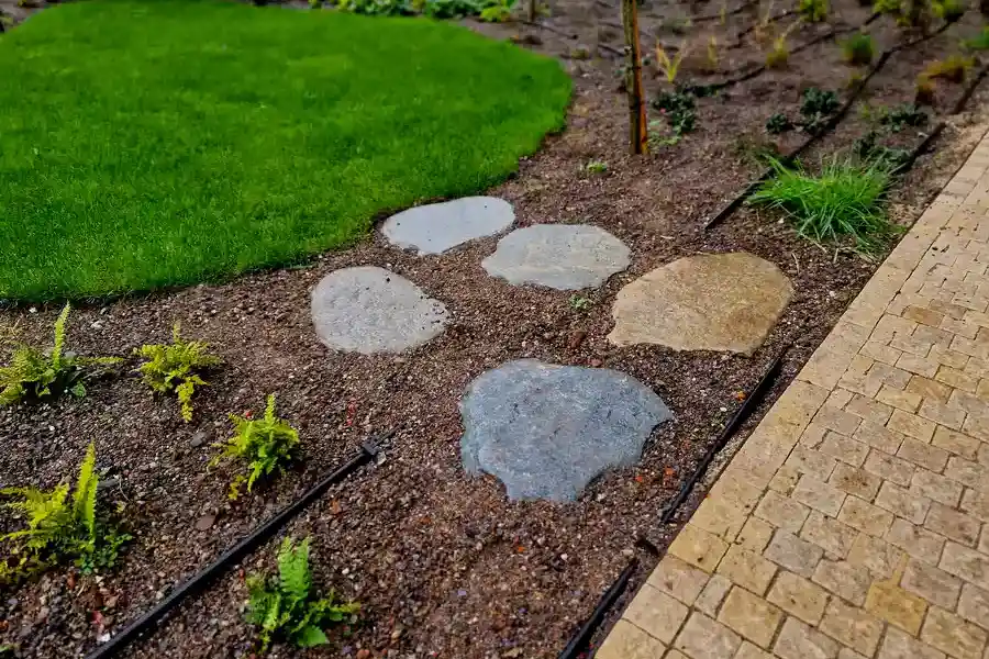 How Proper Mulching Protects Plants During Harsh Weather Brunswick, GA How Proper Mulching Protects Plants During Harsh Weather Brunswick, GA