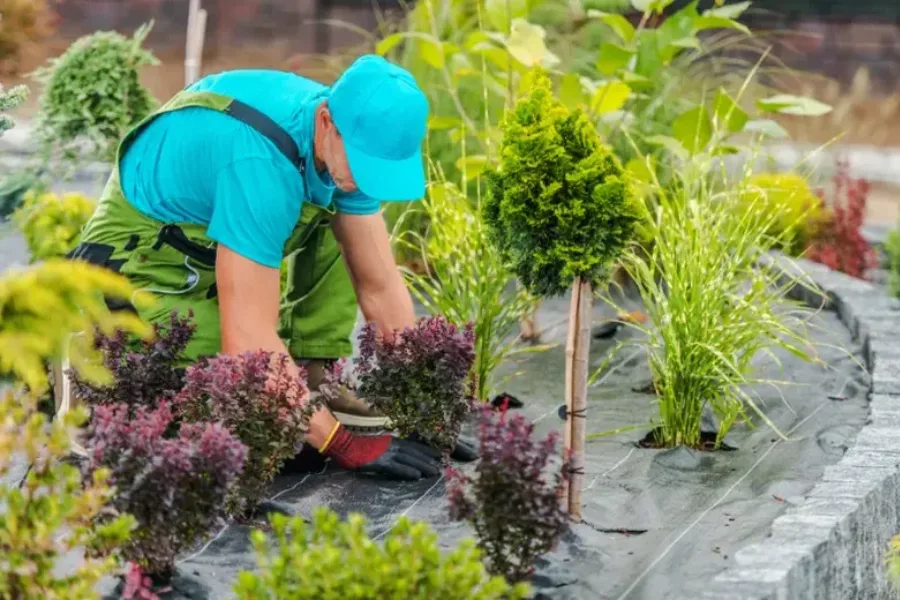 Professional Lawn Maintenance Brunswick, GA Professional Lawn Maintenance Brunswick, GA