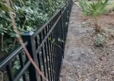 Reliable Front Yard Landscaping