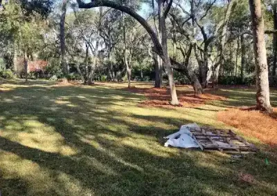 Reliable Front Yard Landscaping
