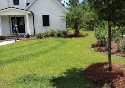 Reliable Front Yard Landscaping