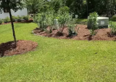 Reliable Front Yard Landscaping