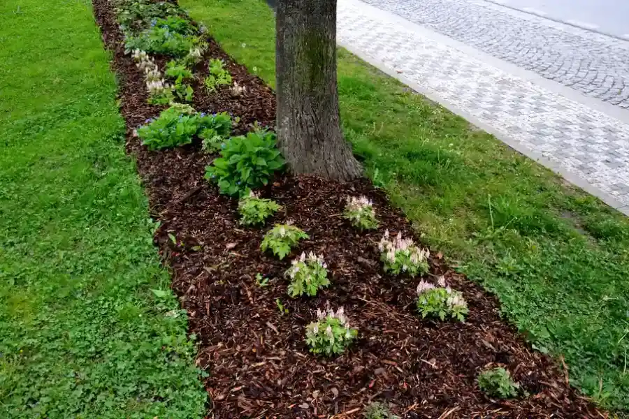 Top-rated Mulching Brunswick, GA Top-rated Mulching Brunswick, GA
